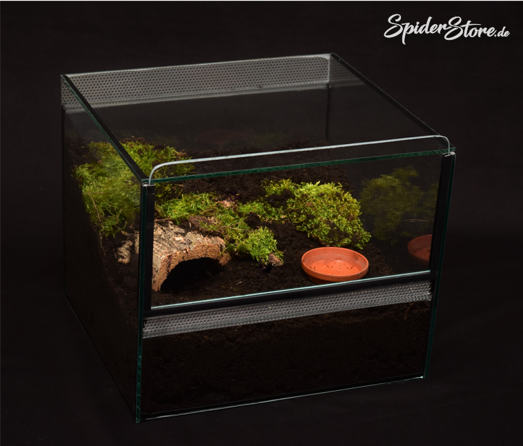 Das_Terrarium
